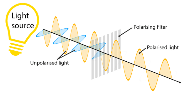 polarization